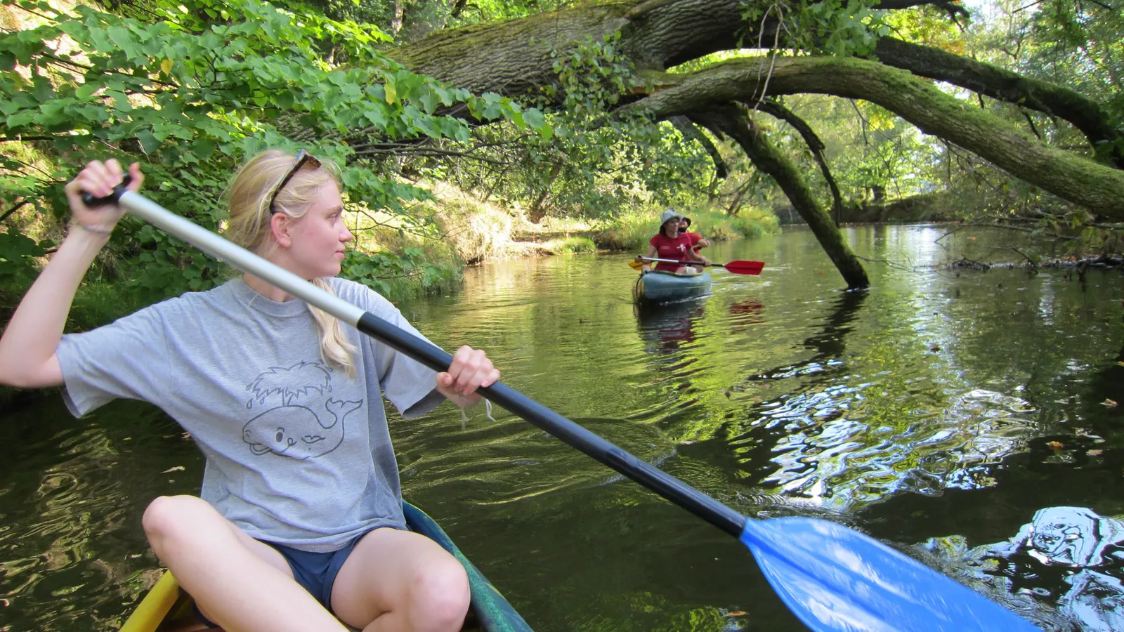 Podzimní voda 2025 - Lužnice