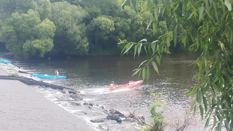 IMG_20240601_122939_1